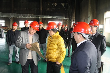 2012年1月31日，時(shí)任嘉興市委書記魯俊率領(lǐng)市發(fā)改委等市級(jí)部門負(fù)責(zé)人到公司調(diào)研