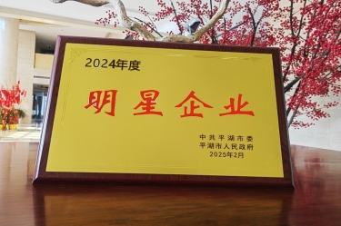 新春新景新氣象 | 景興紙業(yè)在平湖三干大會(huì)上喜摘榮譽(yù)！
